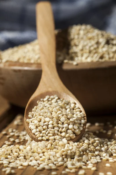 Quinoa — Stock fotografie