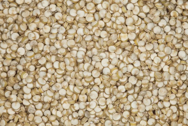 Quinoa — Stockfoto