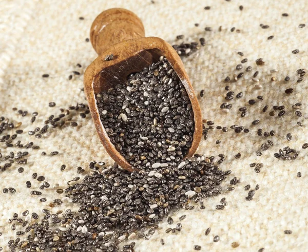 Chia Seeds — Stock Photo, Image