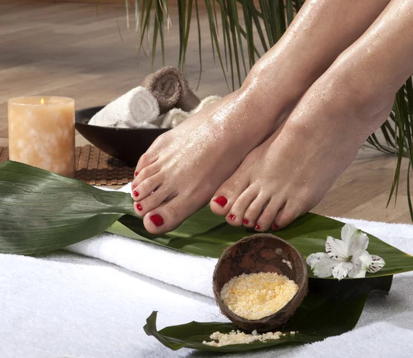 Traitement spa des pieds — Photo