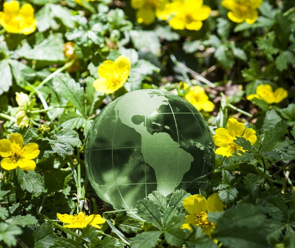 Conceito de ambiente mundial — Fotografia de Stock