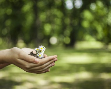 Bir demet çiçek ile holding eller.