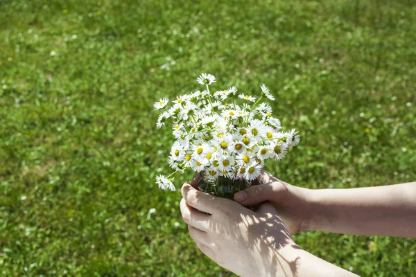 Hands holding a bunch with flowers. — Stock Photo, Image