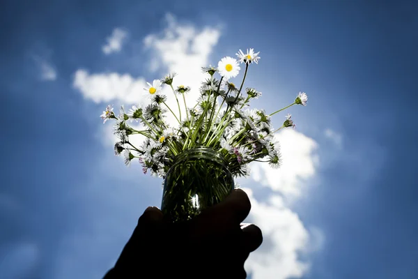Händer som håller ett gäng med blommor. — Stockfoto