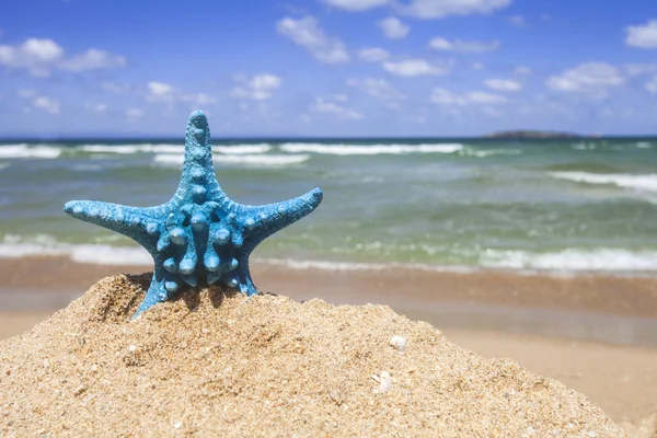 Estrella de mar caribeña sobre playa de arena ondulada —  Fotos de Stock