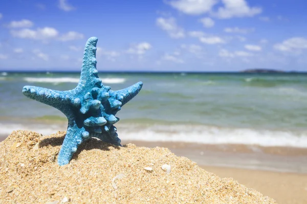 Caribe estrela do mar sobre praia de areia ondulada — Fotografia de Stock