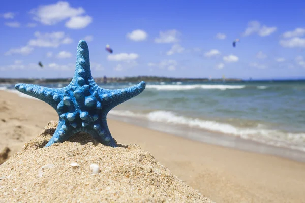 Dalgalı kum plajı üzerinde Karayip deniz yıldızı — Stok fotoğraf