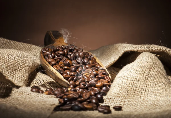 Coffee beans — Stock Photo, Image