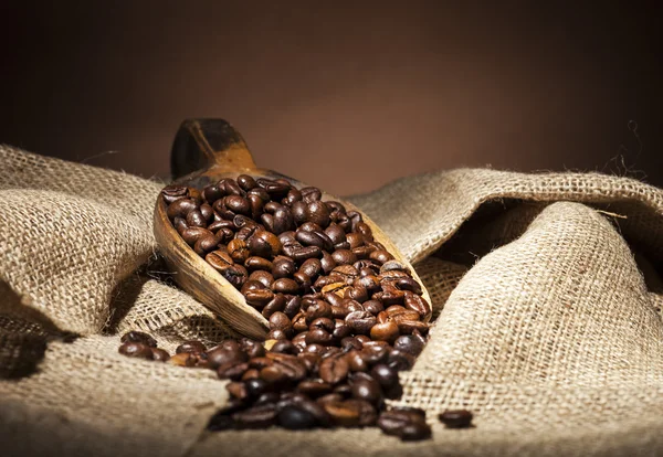 Coffee beans — Stock Photo, Image