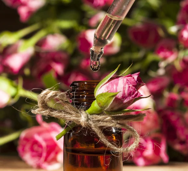 Rose Essential Oil — Stock Photo, Image