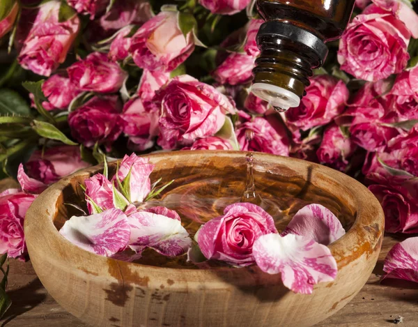 Rose Essential Oil — Stock Photo, Image