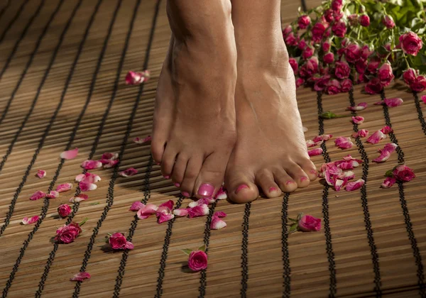 Spa des pieds — Photo