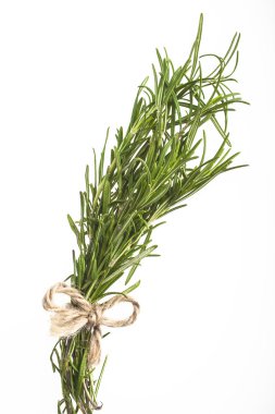 Biberiye beyaz arka plan üzerinde bağlı