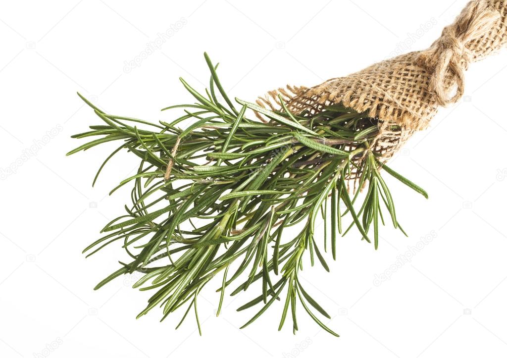 Tied rosemary on white background