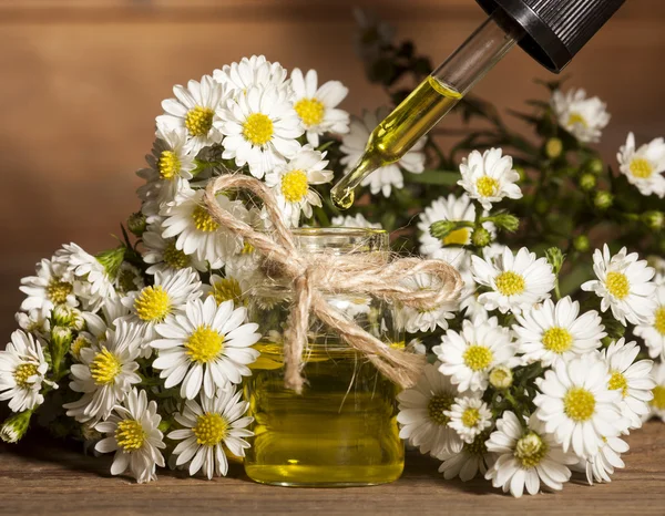 Chamomile Essential Oil — Stock Photo, Image