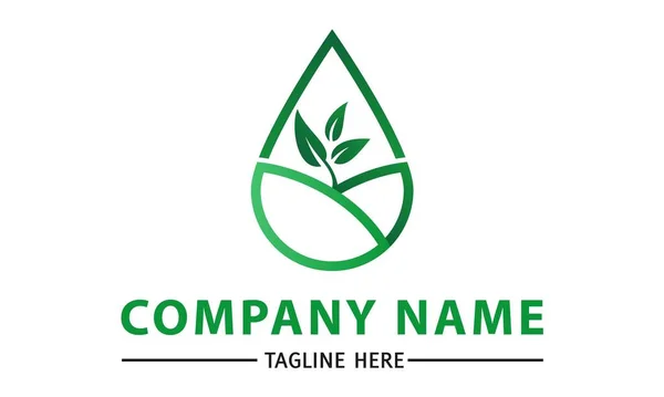 Green Water Drop Nature Eco Organic Leaf Root Logo Design — Vettoriale Stock
