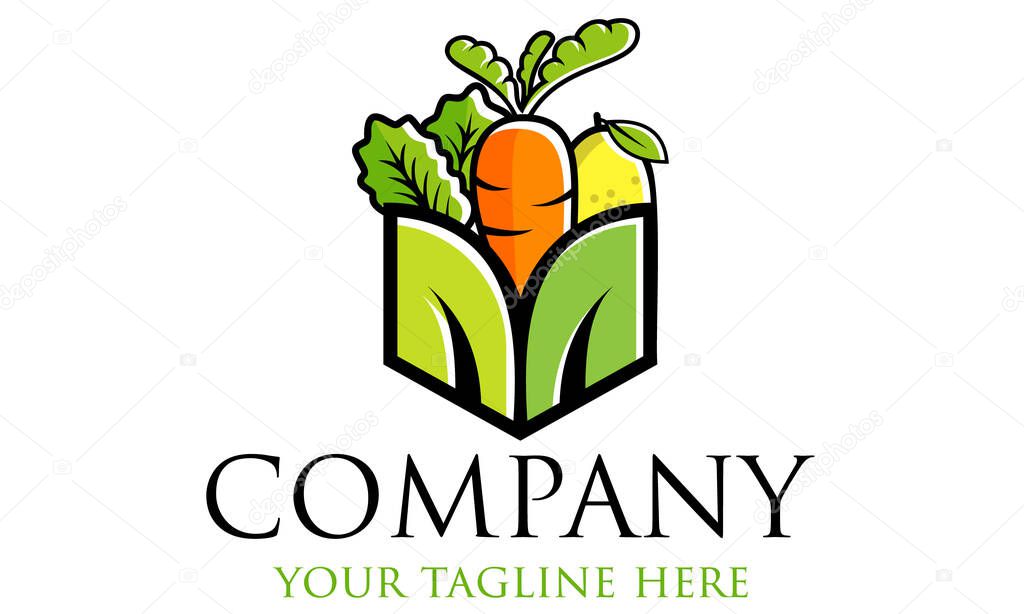 Colorful Healthy Fruit and Vegetable Logo Design