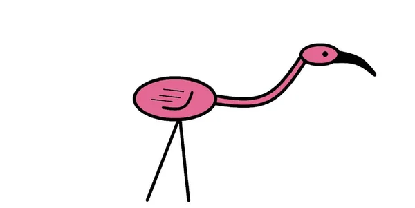 Vector Image Flamingo — Stock Vector