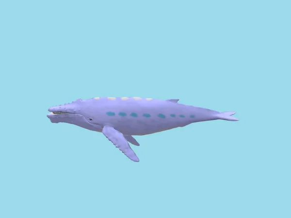 Ilustracja Wieloryba Wyizolowanego Tle Wodnym — Zdjęcie stockowe