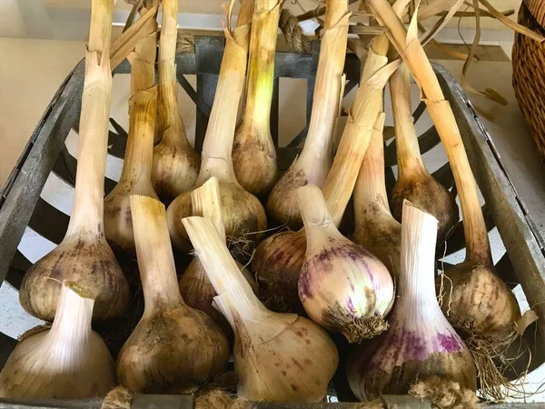 Markette soğan sepeti