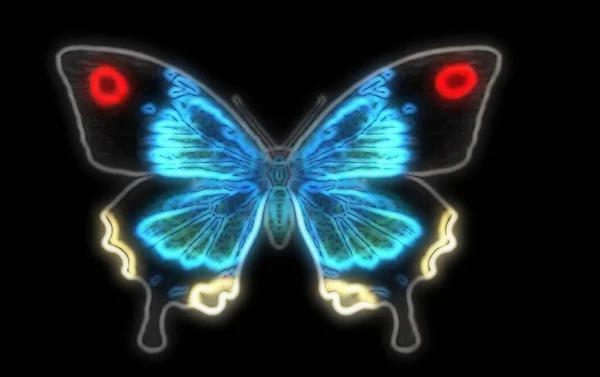 Bild Eines Neonfarbenen Schmetterlings — Stockfoto