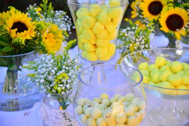 Evlilik parti yaşam olay kutlamak kurmak konuk düğün satıcıları