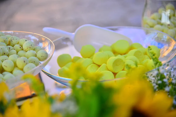 Événement de vie de fête de mariage célébrer les vendeurs invités de mariage mis en place — Photo