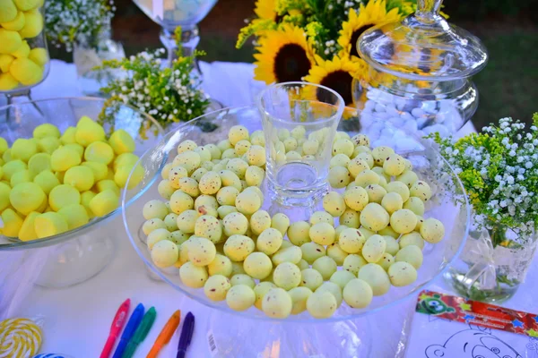 Événement de vie de fête de mariage célébrer les vendeurs invités de mariage mis en place — Photo