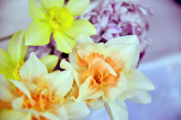 Spring flowers background — Stock Photo, Image