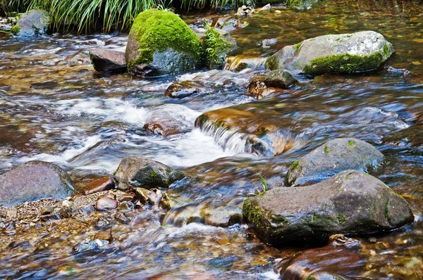 Los arroyos y las rocas Fotos de stock