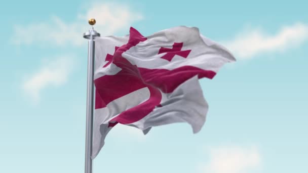 Махающий флагом Джорджии — стоковое видео