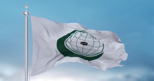 イスラム協力機構の旗を振る｜OIC — ストック動画