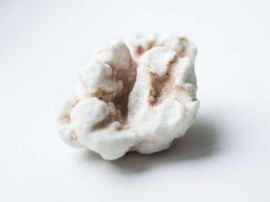 Beyaz yüzeyde beyaz mercan