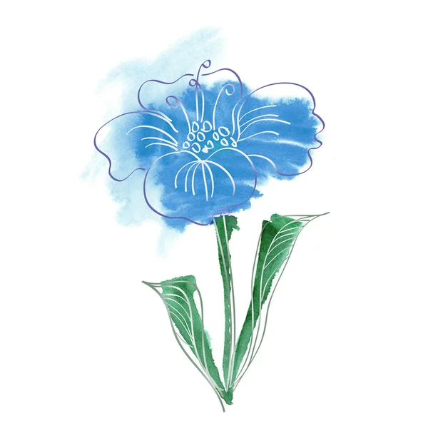 Flor azul aquarela 2 — Fotografia de Stock
