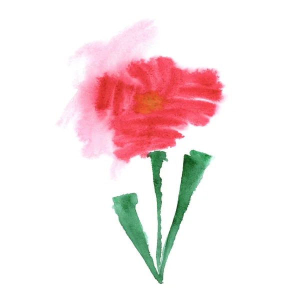 吹き赤いケシの花- — ストック写真