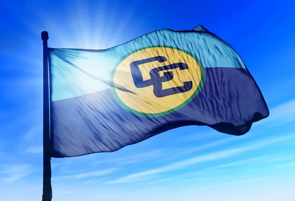 CARICOM σημαία κυματίζει με τον άνεμο — 图库照片