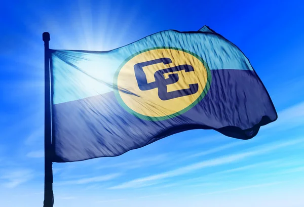 rüzgarda sallayarak CARICOM bayrak