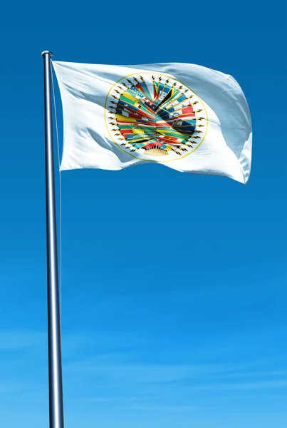 Організація американських держав прапор махав на вітрі — стокове фото