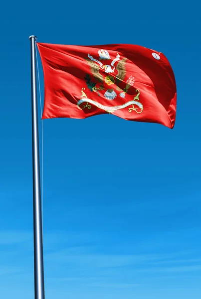 141st Field Artillery Regimental colors waving on the wind — Stock Photo, Image