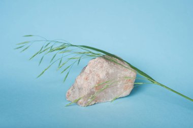 Mavi arka planda yeşillik filizi olan bir kaya tuzu.