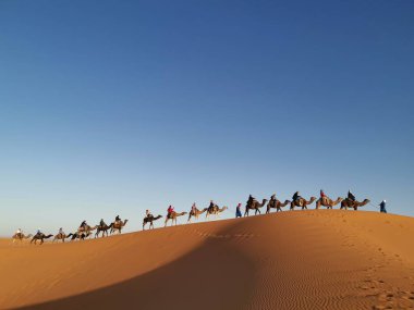 Erg Chebbi 'nin Kumları, Sahra Çölü, Fas boyunca Deve Sürüşü