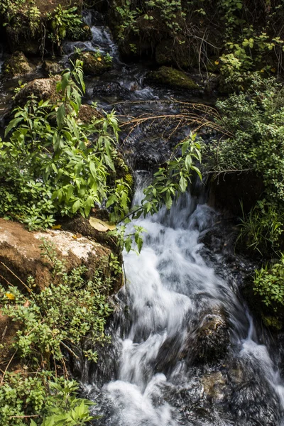 Banias şelale — Stok fotoğraf