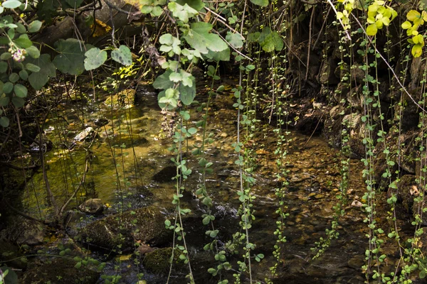 Banias şelale