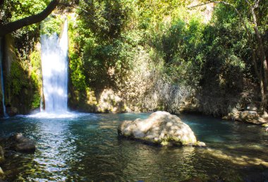 Banias şelale