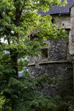 Avusturya 'daki Hohenwerfen Kalesi