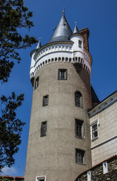 Zleby castle, Τσεχική Δημοκρατία — Φωτογραφία Αρχείου