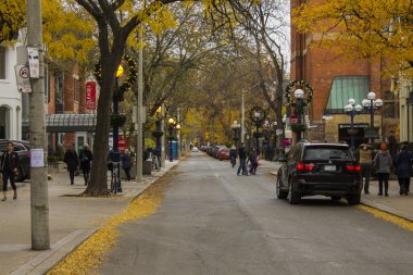 manzara biçiminde cn tower alınan toronto city.