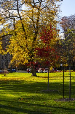 Niagara Falls ve şehir