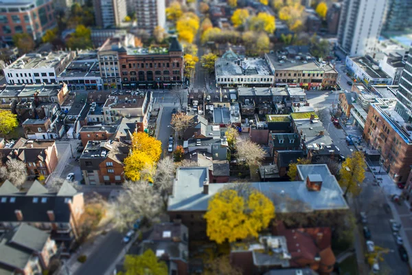 Toronto street tildshift — Stock Photo, Image