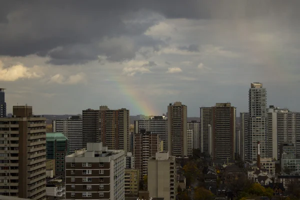 Toronto şehir